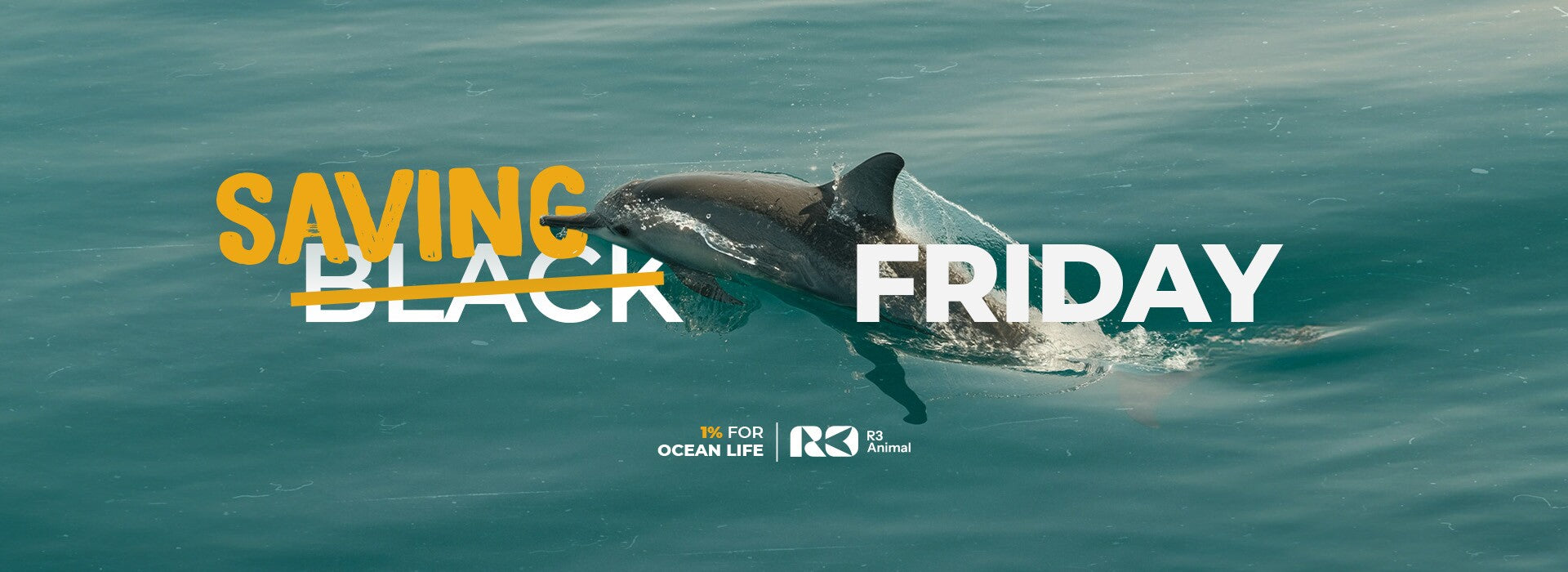 Galapagos e R3 Animal: a Black Friday da vez é Saving Friday!