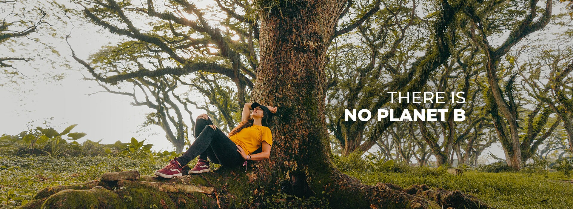 Afinal, produtos ecos são mais caros ou têm mais valor?