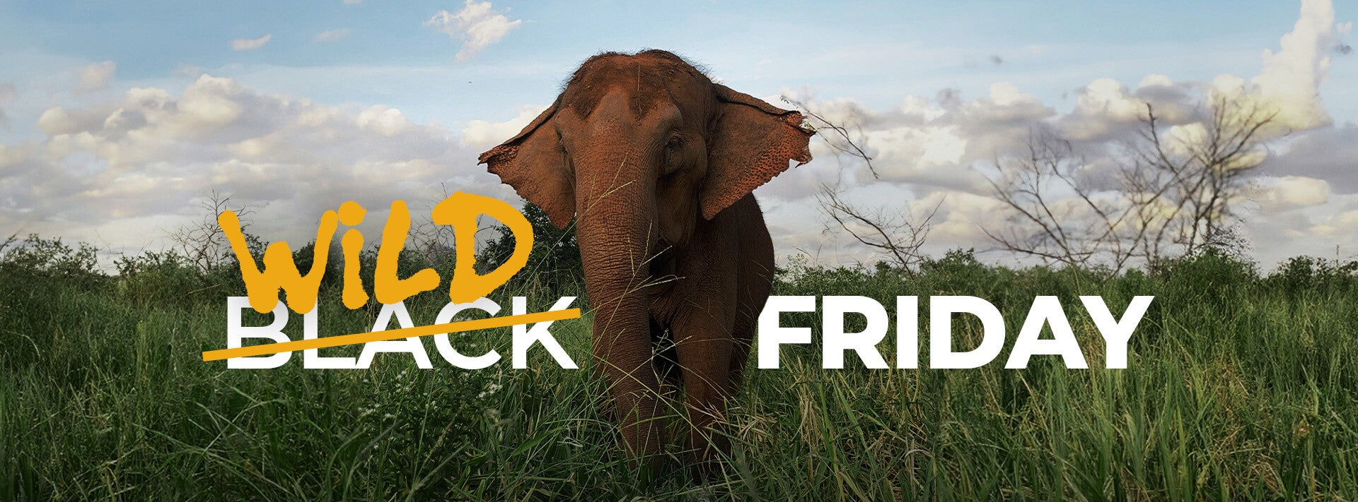 Black Friday? Somos Friday for WILD life