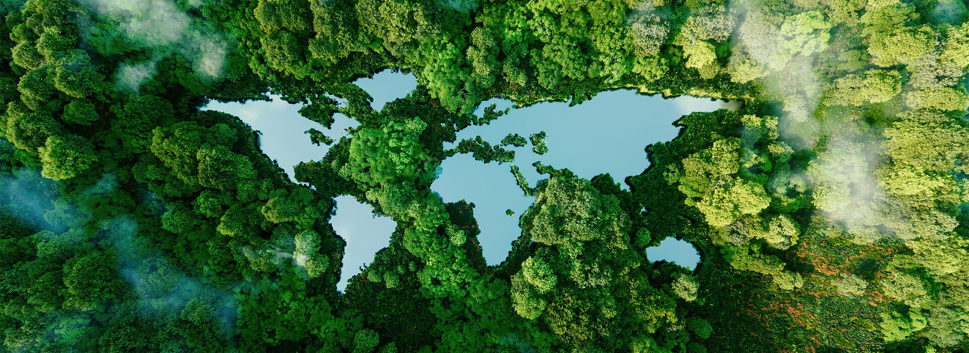 Marcas com propósito: marcam positivamente pessoas e o planeta