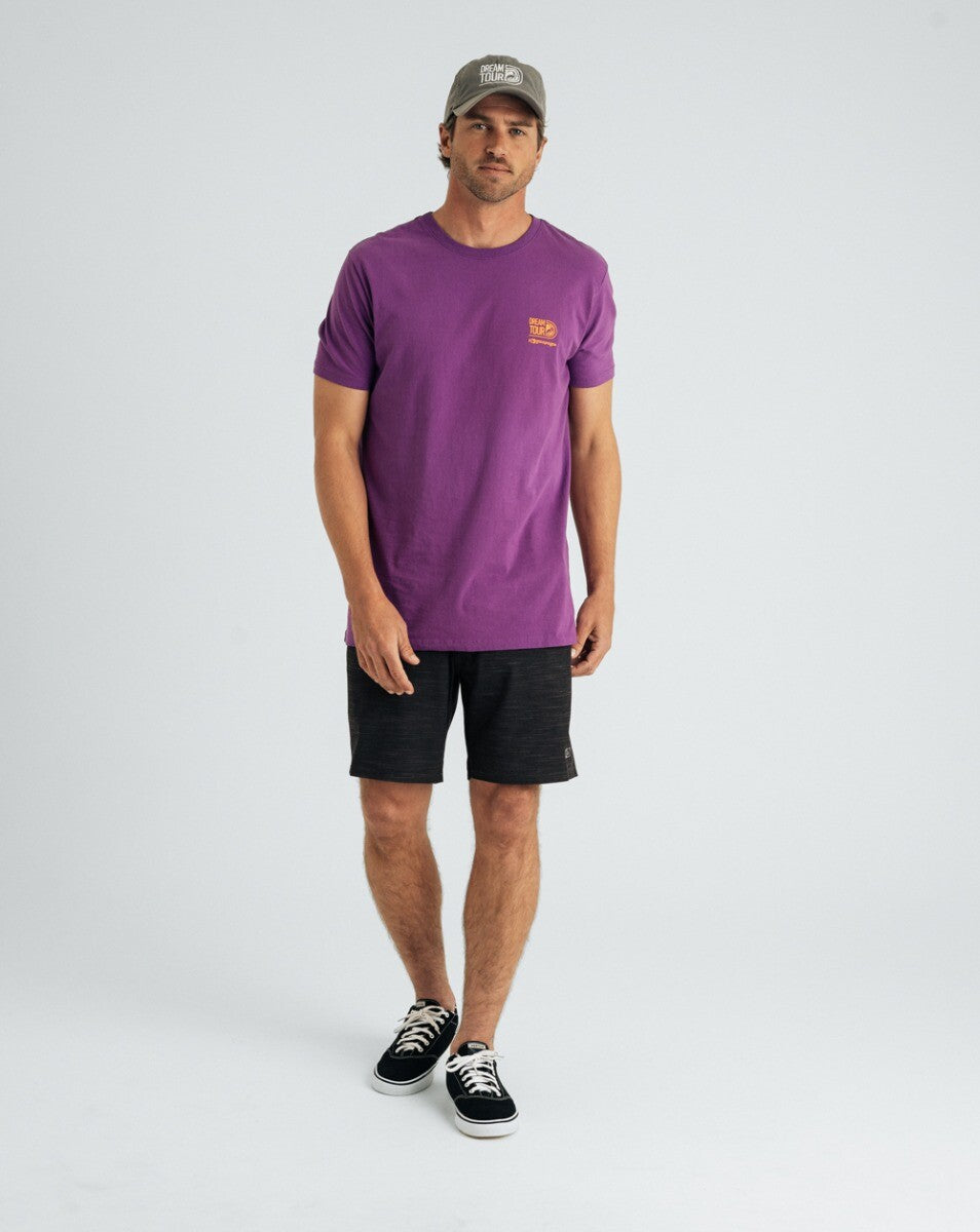 Camiseta Dropar Roxo - Dream Tour