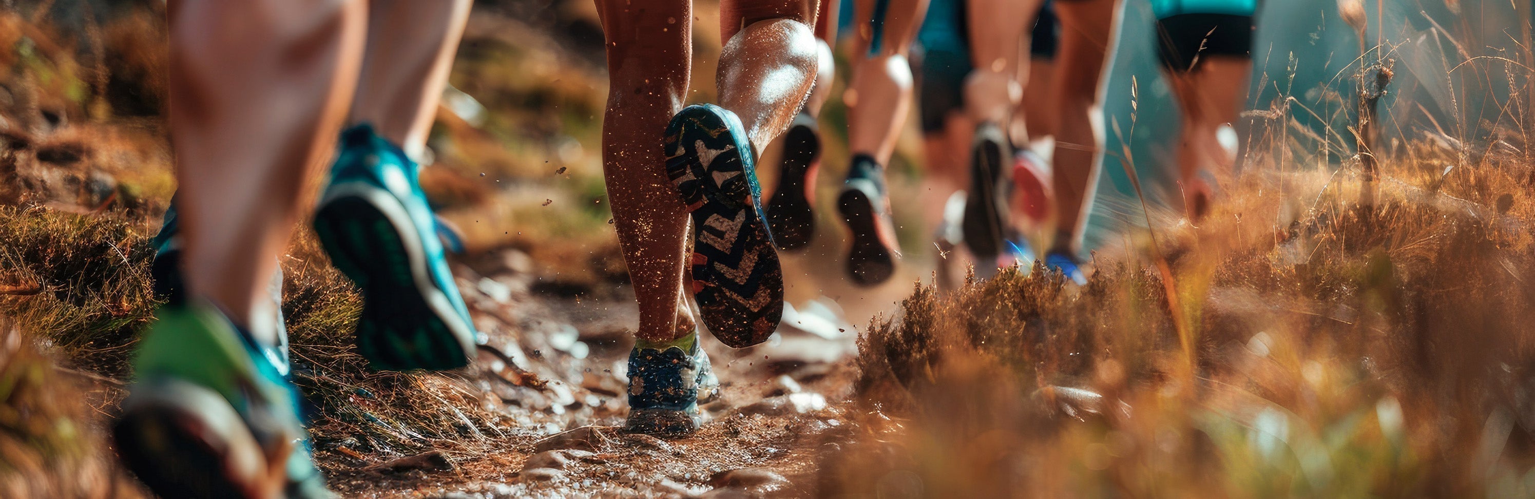 Provas de trail running no Brasil: o guia pra sair do asfalto e ir pra trilha