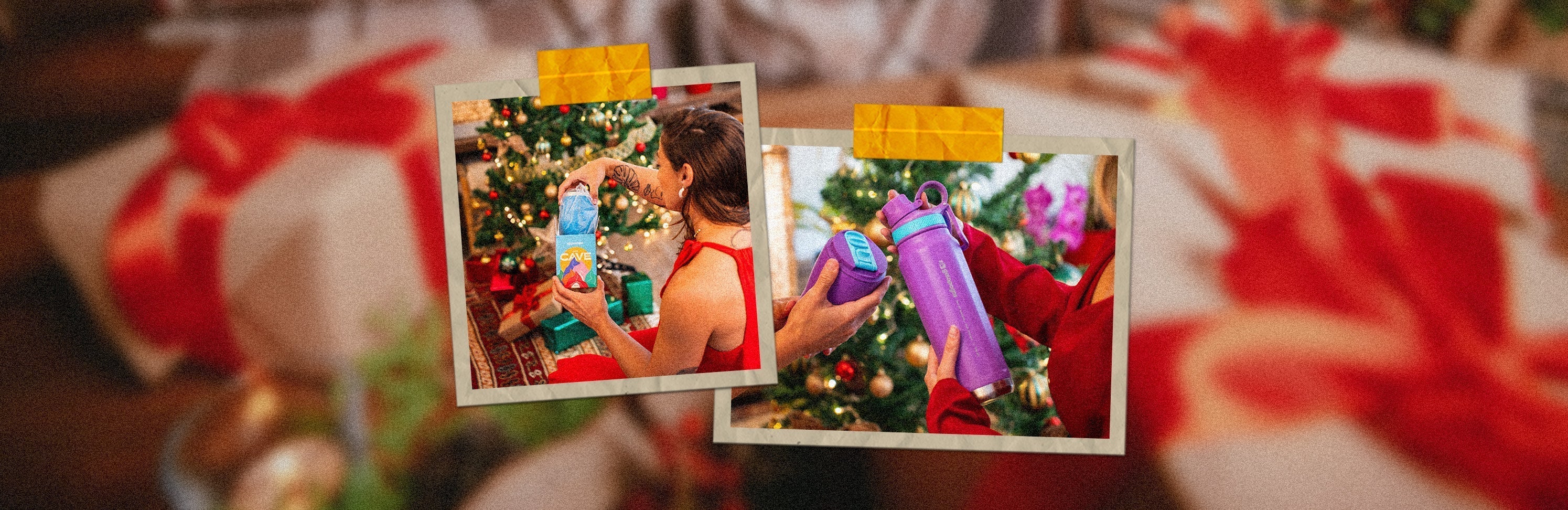 Guia de Presentes de Natal: ideias para surpreender quem ama natureza